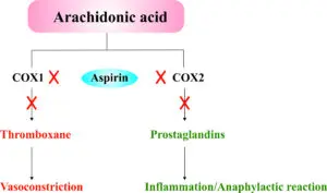 Understanding the Role of Aspirin in Healthcare Today