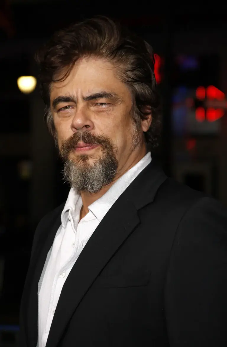 The Versatile Career of Benicio Del Toro