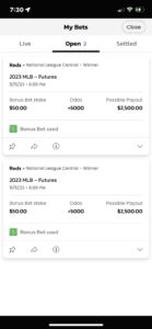 The Rise of BetMGM: A Leader in Sports Betting