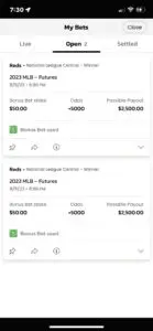 The Rise of BetMGM: A Leader in Sports Betting