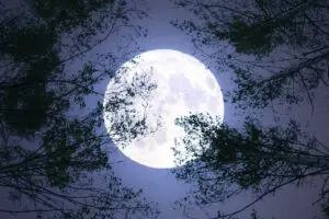 The Fascinating Phenomenon of the Blue Moon