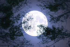 The Significance of the Upcoming Blue Moon