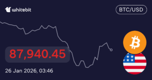 Understanding BTC to USD Price Movements