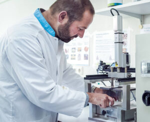 Understanding Cereulide: Risks and Safety Measures