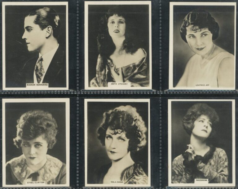 Understanding the Role of Cinema in Modern Life