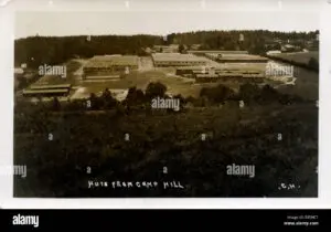 The Role and Significance of Crowborough Army Camp