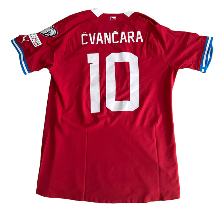 CVancara: Revolutionising the Digital Marketing Sphere