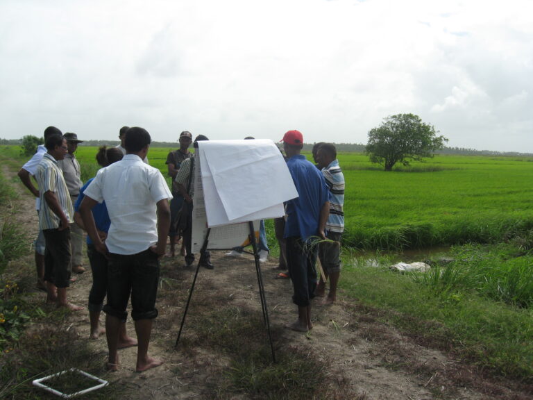 The Significance of Development in Modern Society