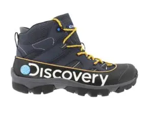 Recent Transformative Discoveries in Science