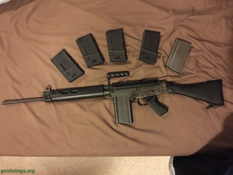 The Importance of Fall Season in Nature and Life