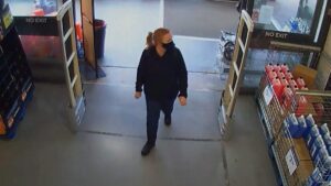 Updates and Insights on the Fiona Beal Case