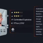 The Impact of Harald Nilsen Tangen in Finance