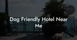 Finding the Perfect Hotel Near Me