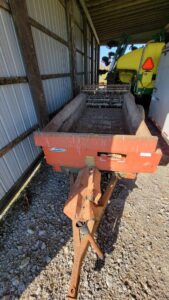 The Role of Ideas in Innovation and Economic Growth