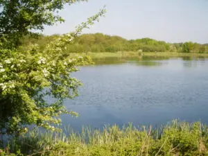 Exploring the Ilkeston Hole in the Wall: A Local Landmark