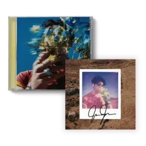 Everything You Need to Know About Joe Jonas