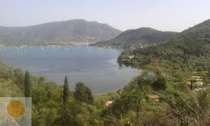 Understanding the Importance of Land Management