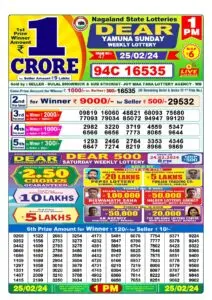 Today’s Lottery Results: What You Need to Know