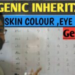 Latest News and Updates on LUFC: Leeds United FC