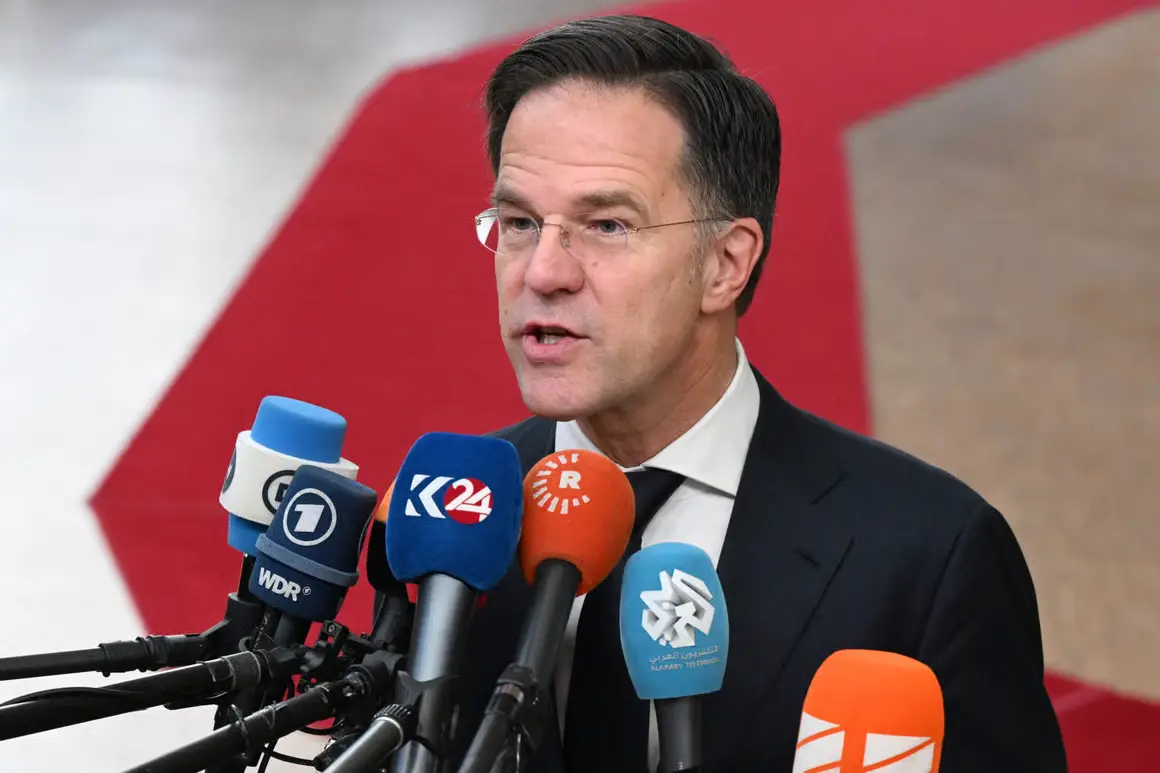 The Political Landscape Under Mark Rutte’s Leadership