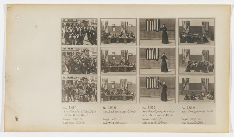 A Deep Dive into the Museum of Modern Art (MoMA)