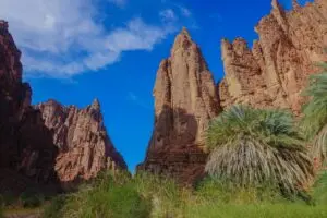 Discover NEOM Saudi Arabia: A Vision for the Future