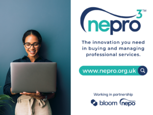 Understanding Nepotism: The Phenomenon of Nepo