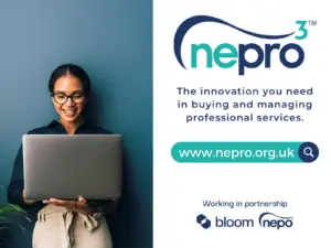 Understanding Nepotism: The Phenomenon of Nepo