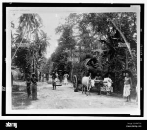 The Importance of Being Nice in Today’s World