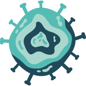 Understanding the Risks and Developments of Nipah Virus