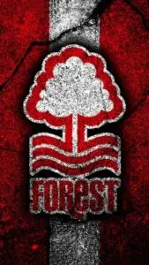The Rise and Challenges of Nottingham Forest Football Club