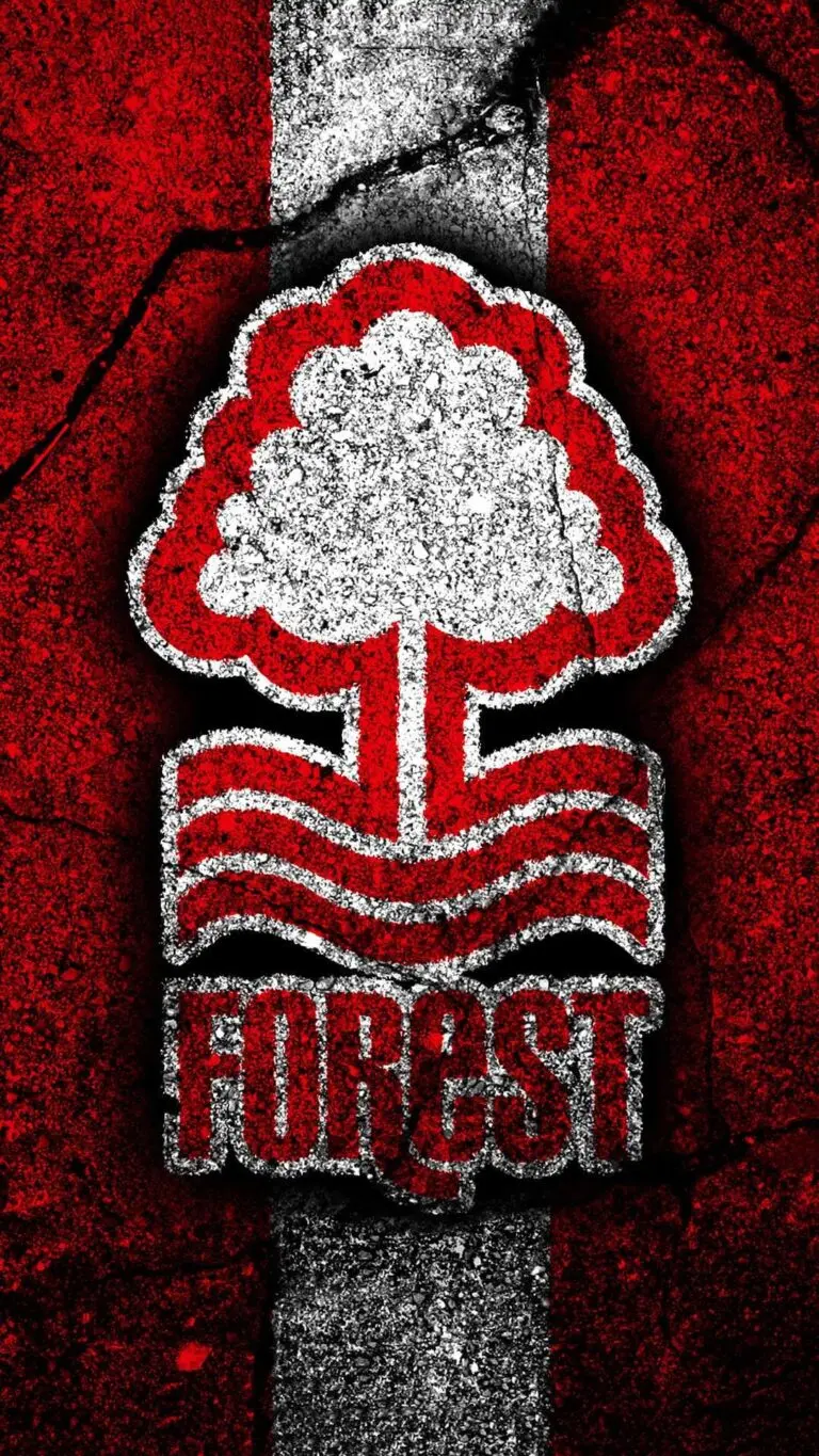 The Rise and Challenges of Nottingham Forest Football Club