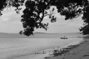 The Lasting Legacy of Paul Hunter in Snooker