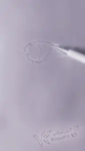 Discovering the Fascinating World of Penguins