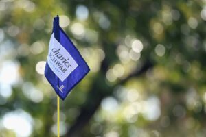 Insights into the Latest Events in the PGA Tour