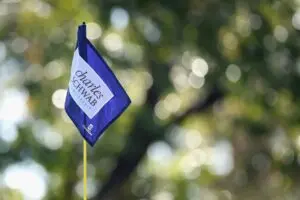 Insights into the Latest Events in the PGA Tour
