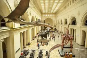 Discovering the Pokemon Natural History Museum