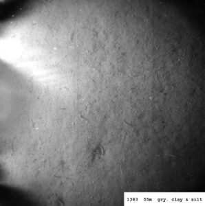 The Importance and Revival of Pubs in the UK