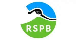 The Role of RSPB in Bird Conservation and Nature Protection