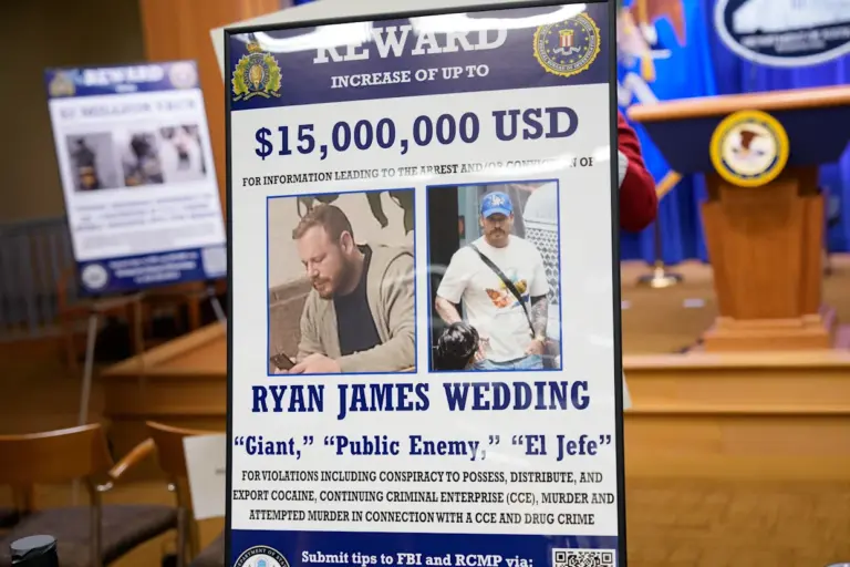 The Ryan Wedding: A Memorable Celebration of Love