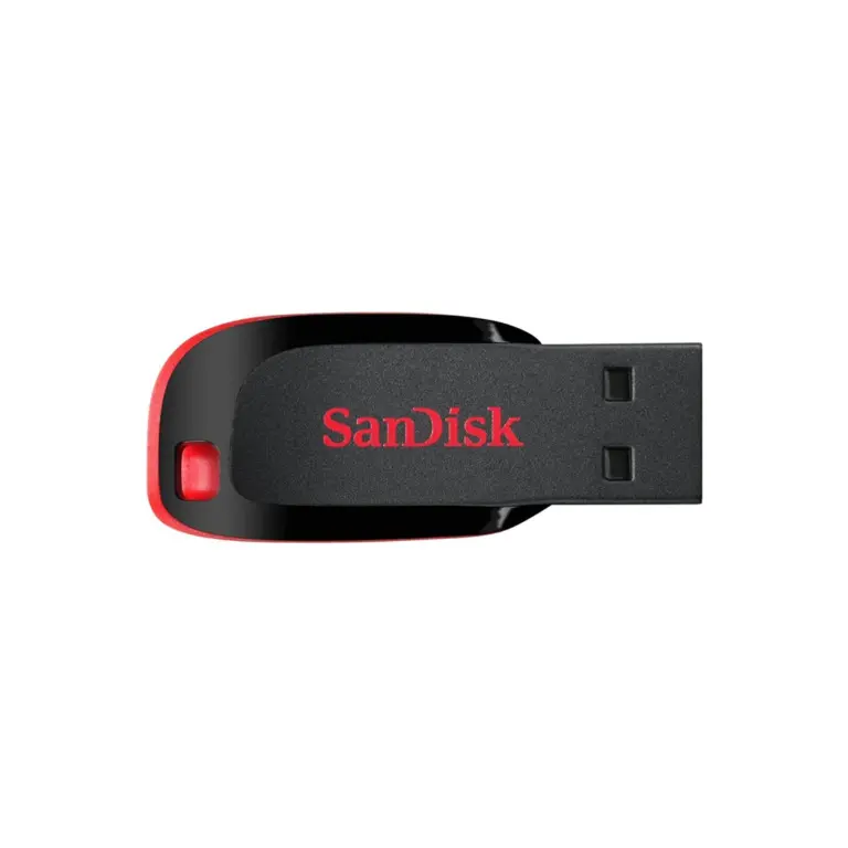 The Evolution and Importance of SanDisk in Modern Storage