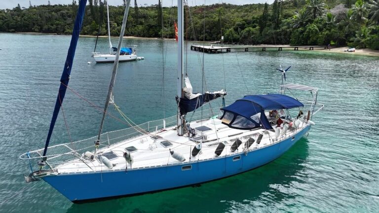 The Significance of the Sun in Our Daily Lives