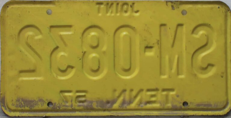 The Significance of Tennessee in America Today