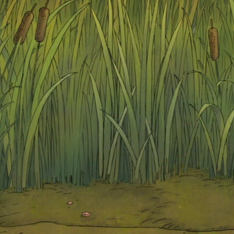 The Hundred: A New Era for Cricket