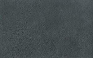 TV Guide: The Essential Resource for TV Lovers