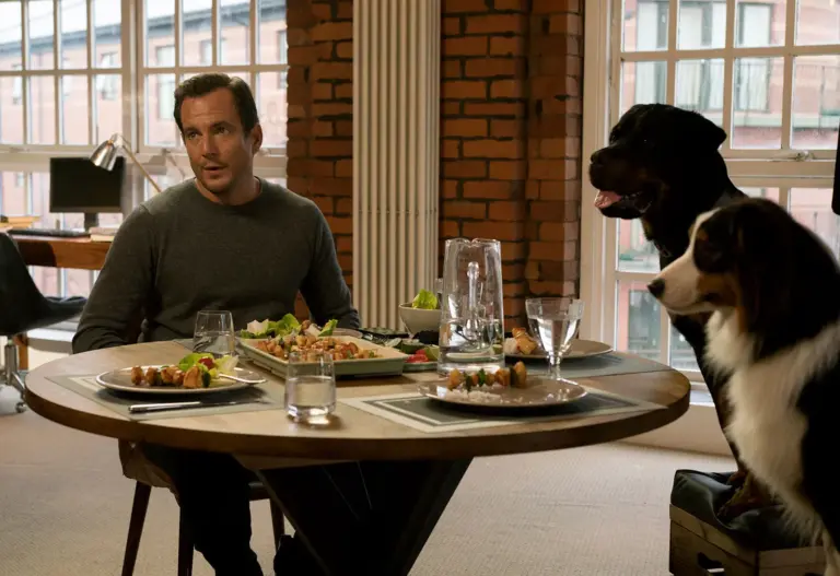 The Versatile Career of Will Arnett