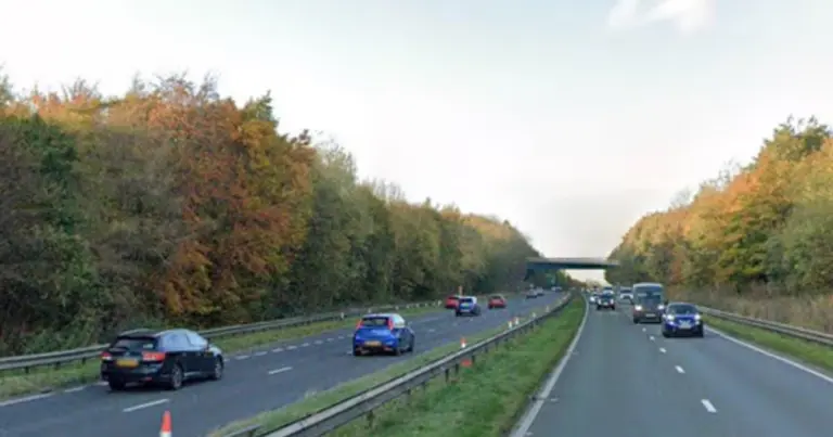Understanding the A19 Crash: Cause and Impact