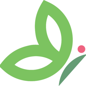 The Role and Importance of Administration in Modern Society