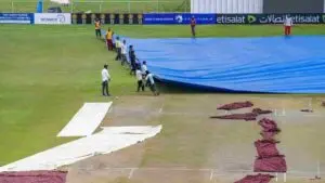 Insights into the Afghanistan vs New Zealand Cricket Match
