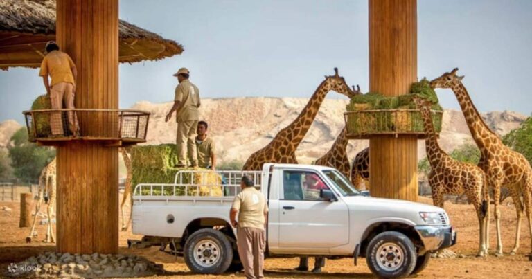 The Cultural Importance of Ain